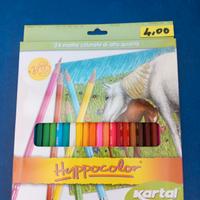 24 matite colorate Alta qualità nuove