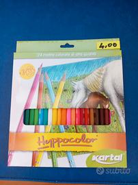 24 matite colorate Alta qualità nuove