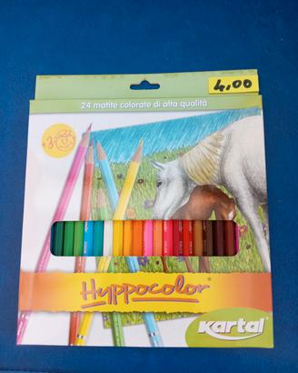 24 matite colorate Alta qualità nuove