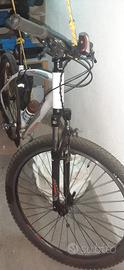 bici mtb