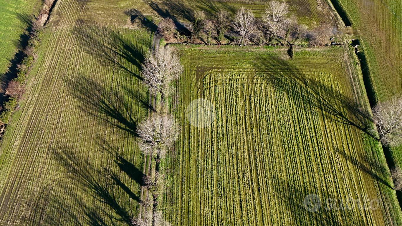TER. AGRICOLO A SANTO STEFANO LODIGIANO - Vista 5