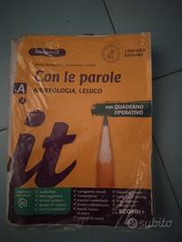 CON LE PAROLE MORFOLOGIA LESSICO