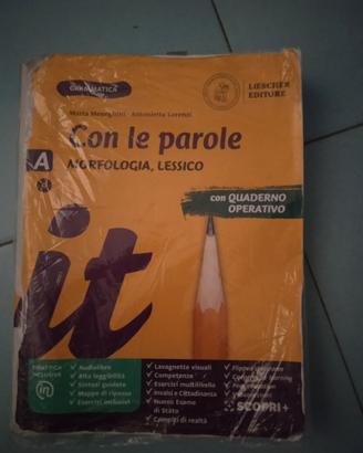 CON LE PAROLE MORFOLOGIA LESSICO