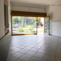 NEGOZIO A PONTE SAN PIETRO