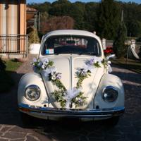 Volkswagen maggiolino