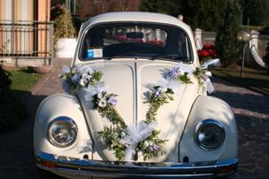 Volkswagen maggiolino