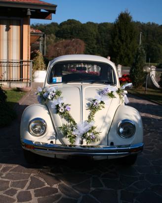Volkswagen maggiolino