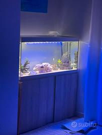 Acquario 250lt