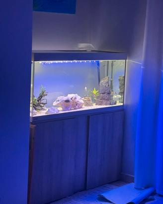 Acquario 250lt