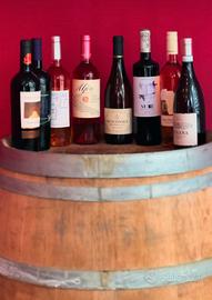 Collezione lotto bottiglie di Vino