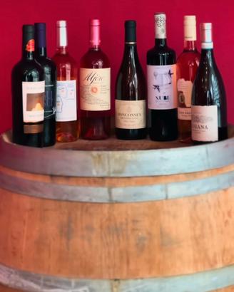 Collezione lotto bottiglie di Vino