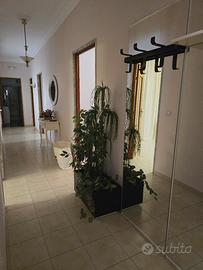 Appartamento Arredato  nei pressi dell'ospedale