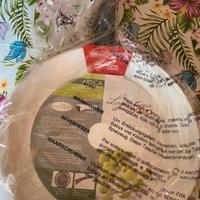 Padella Lagostina - nuova