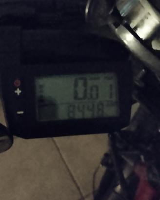 bicicletta a pedalata assistita 