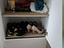 Immagine 2