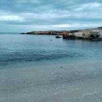 Imbianchino