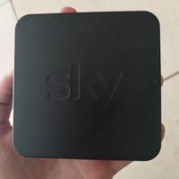 skylink