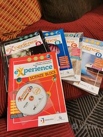Experience 