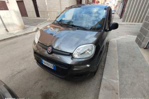 Fiat Panda Easy 3^ serie 1.2 Fire 69 CV 
