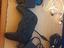 Immagine 6