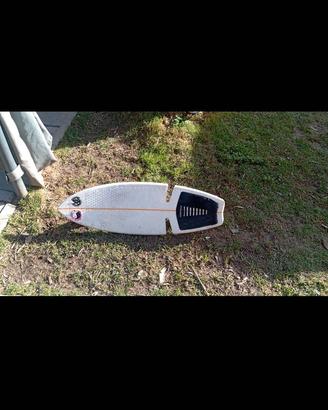 skateboard a 2 ruote 