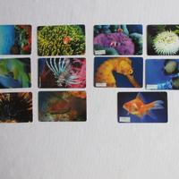 schede telefoniche collezione nuove serie complete