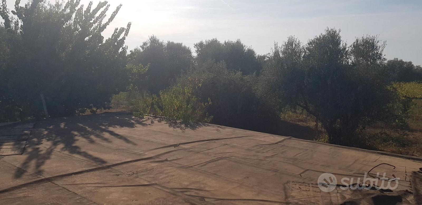 Terreno Agricolo 6000 mq - Vista 5