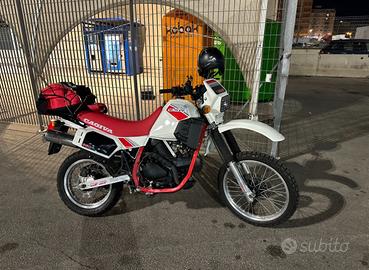 🏍️ CAGIVA ELEFANT 650 – 1985 – FMI TARGA ORO 🏆