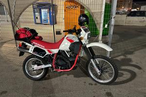 🏍️ CAGIVA ELEFANT 650 – 1985 – FMI TARGA ORO 🏆