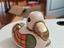 Immagine 1