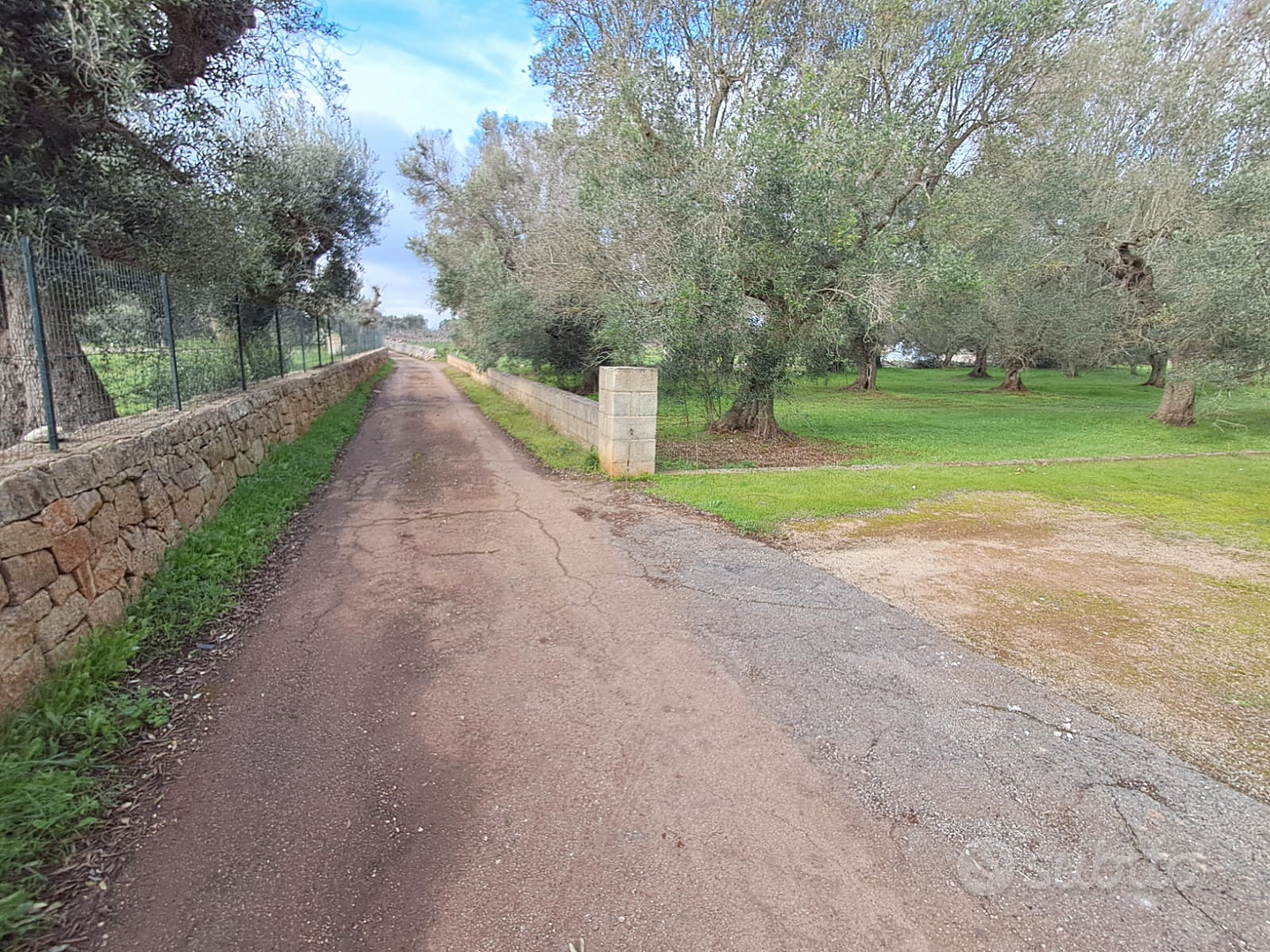 Terreno campagne di ostuni - Altro