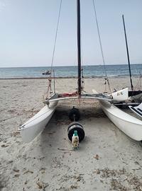 Hobie 16 catamarano