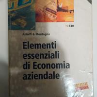 ELEMENTI ESSENZIALI ECONOMIA AZIENDALE 1.Tramontan