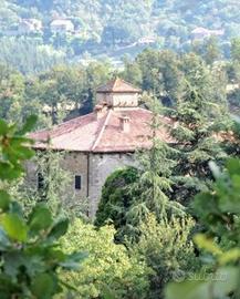 Villa e Villino immersi nel verde