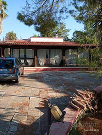 Villa con piscina + 10.000mt giardino