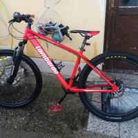 Mountain bike Lombardo sestriere 130