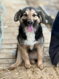 LELA, dolcissima ma tanto sfortunata