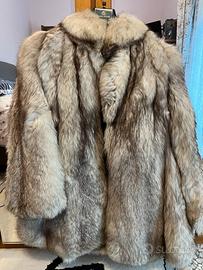 Pelliccia volpe della Groenlandia