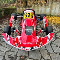 Telaio Birel Art S16 KZ