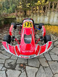 Telaio Birel Art S16 KZ
