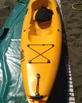 Canoa EXO SHARK 1 ON TOP