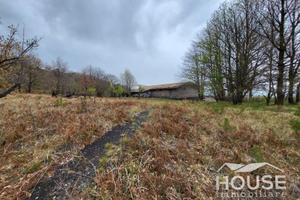 Biancavilla - frutteto con caseggiato id: nbi004t