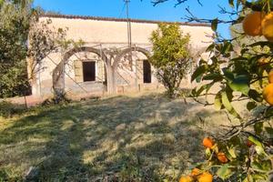 Immediata periferia Antico Podere con uliveto