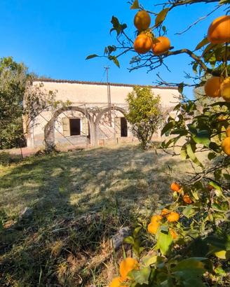 Immediata periferia Antico Podere con uliveto