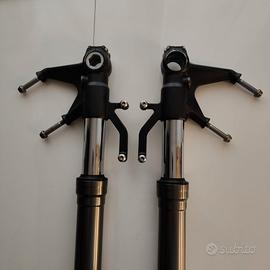 Forcelle ninja zx6r 636  209/2012