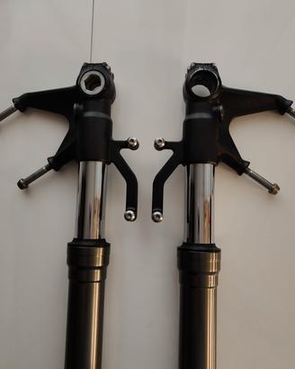 Forcelle ninja zx6r 636  209/2012
