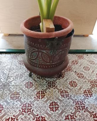 portavaso con pianta