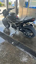 Sv 650 2022