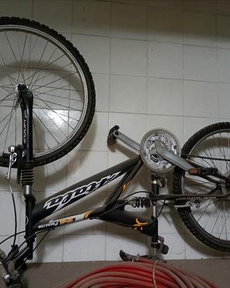 ATALA PREDATOR RUOTE DA 24POLLICI E BIKE RUN