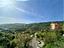 Immagine 8